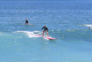 a variety of surf camps and surf lessons